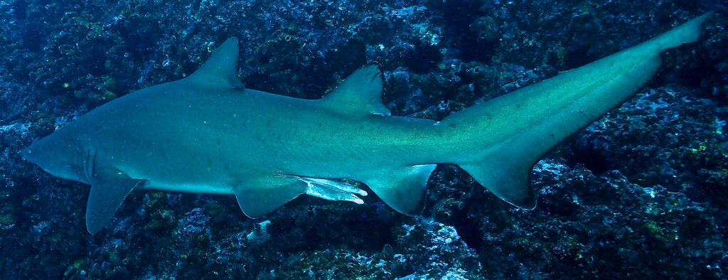 3f547966-7ef9-4f4a-9214-e25016be0390