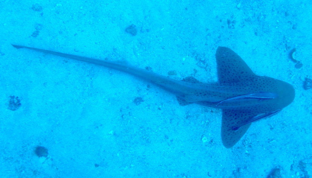 4e0742f1-eaa8-4210-9db5-6673cc76e04a