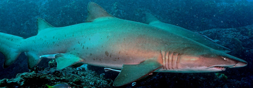 ce0857d2-15bc-4a35-b3d5-f97356aa4d88