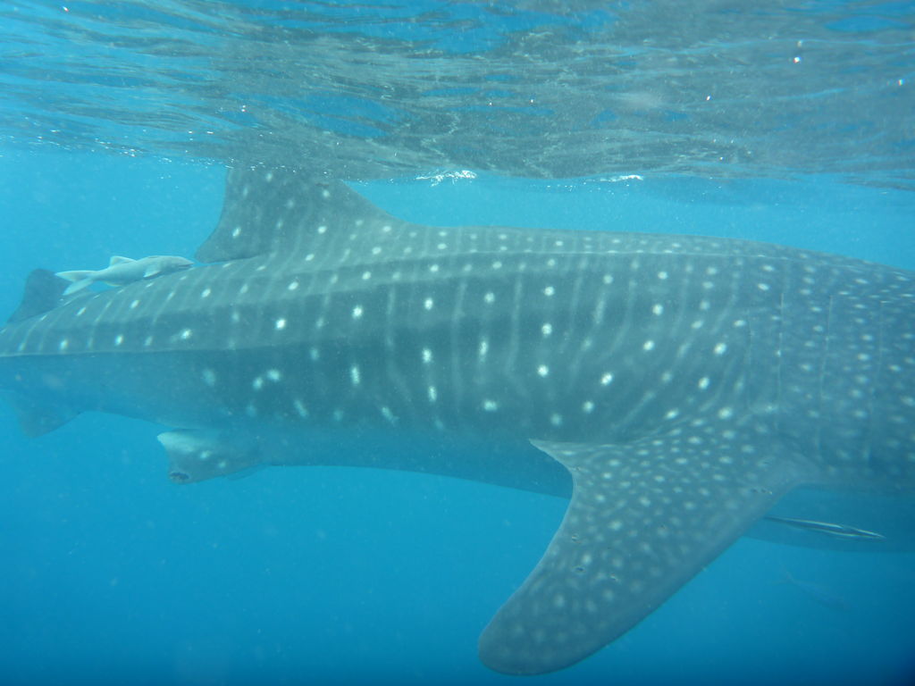 b9a2c144-3f3f-4a14-acdb-72dcb7bd8f35