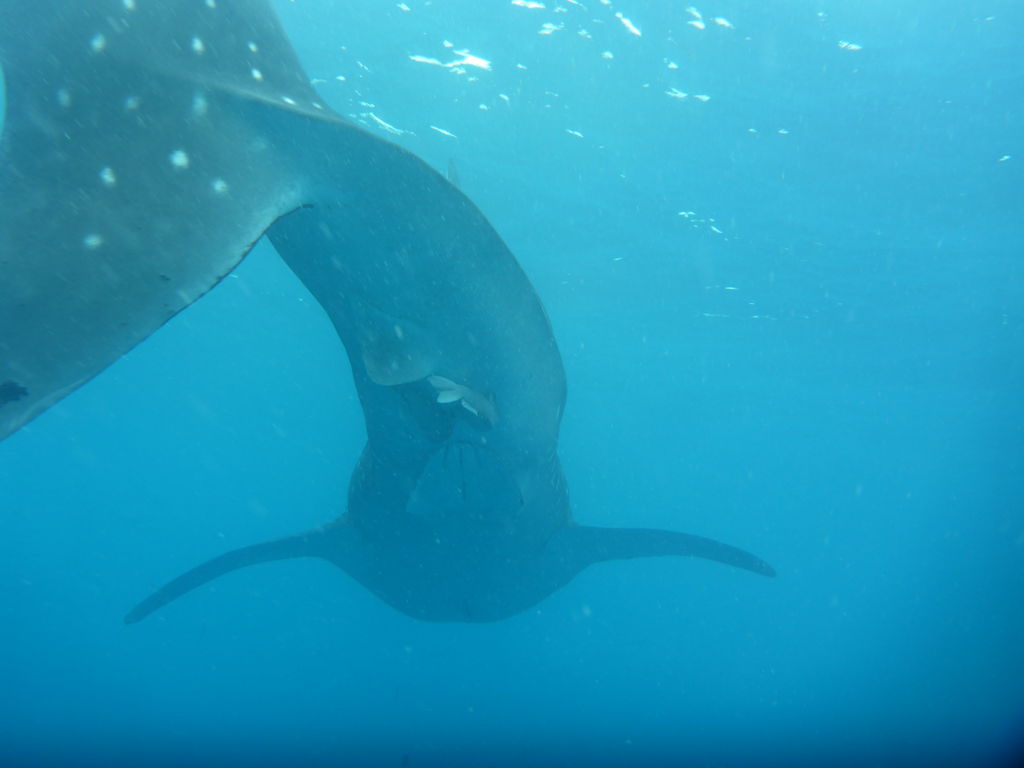 b9a2c144-3f3f-4a14-acdb-72dcb7bd8f35