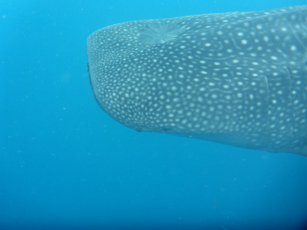 b9a2c144-3f3f-4a14-acdb-72dcb7bd8f35