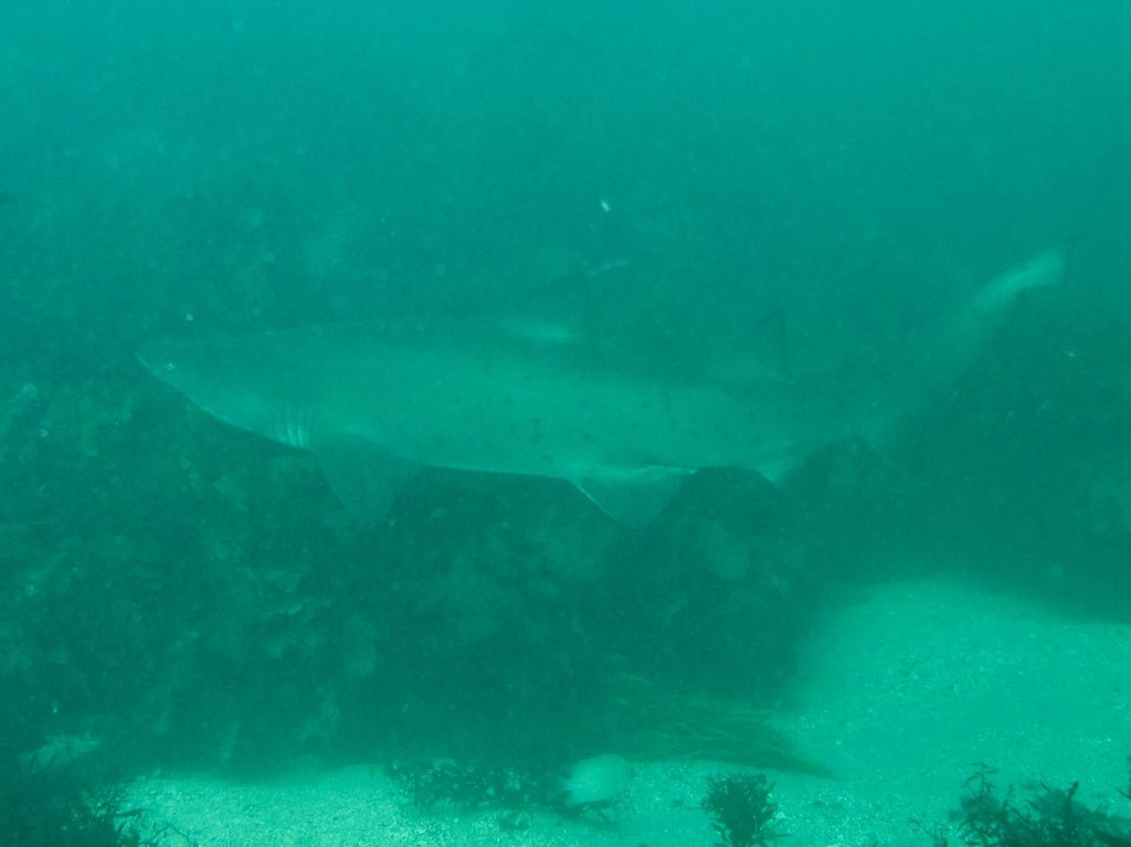 9fe1aba2-0088-4e3d-9ac4-88bd0d54c806