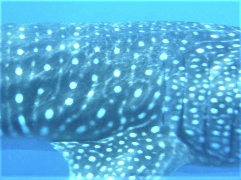 99c8f309-6dcd-4452-ac2d-603ea232525c