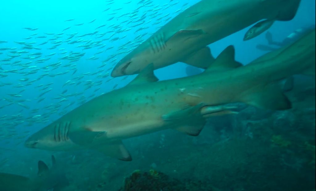 9c7510ca-d173-4c4d-9c03-68ee60120981