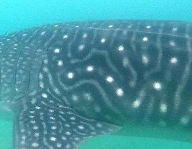 ae13ff10-ee4c-4bfb-90e7-37dbf00d2193