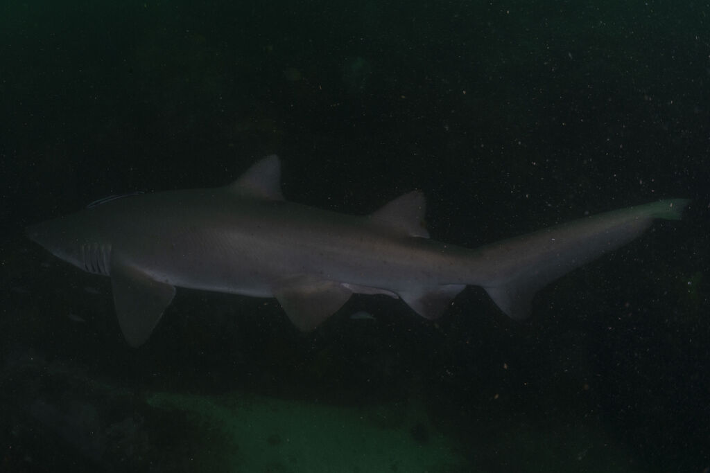 fe320e9d-278d-453e-a33f-741aaa51e333