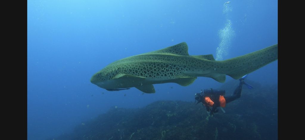 bca42fef-d84a-4ef1-a33a-a37b66d38d1b