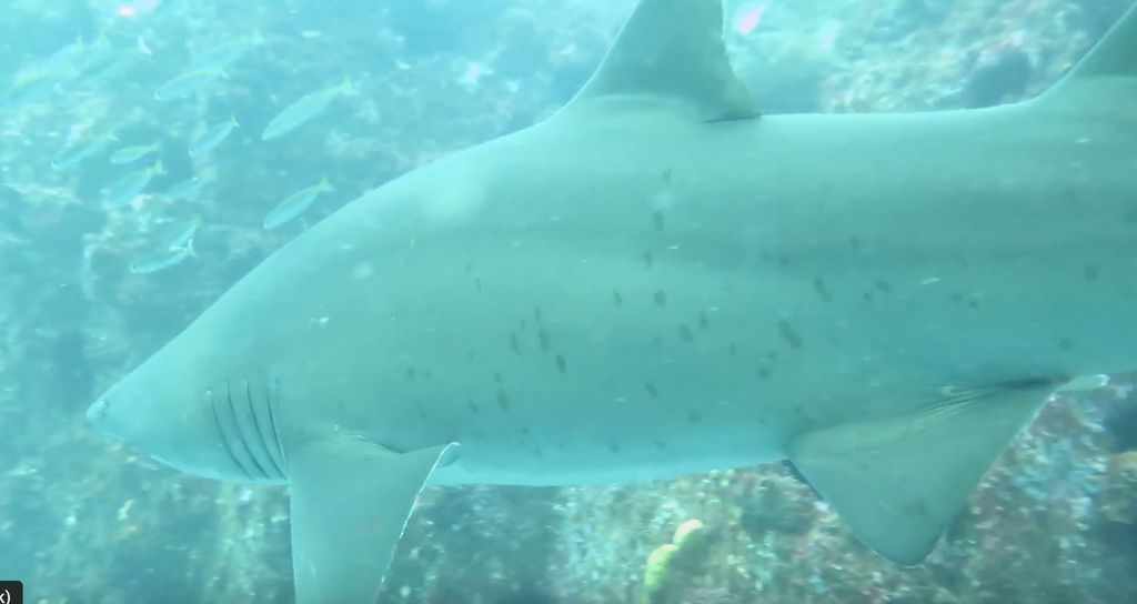 8ef6fc2c-7a7c-46ed-a458-373fc5dcca07