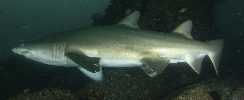 a8aac193-d735-46de-80f0-1f1c4501a58d