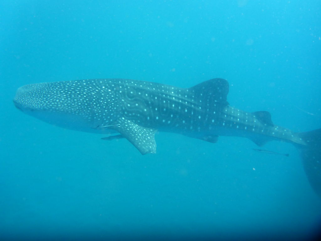 a35b45fe-2105-4140-8d56-8531326c757b