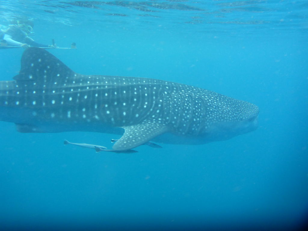 a35b45fe-2105-4140-8d56-8531326c757b