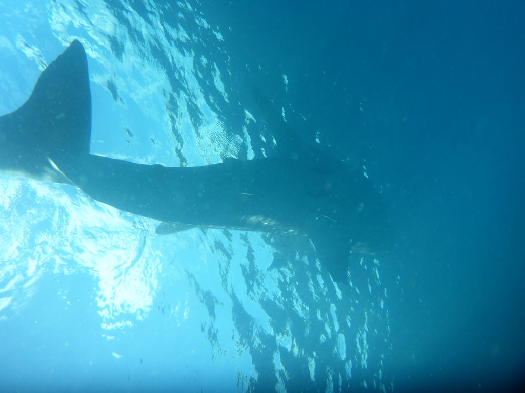 a35b45fe-2105-4140-8d56-8531326c757b