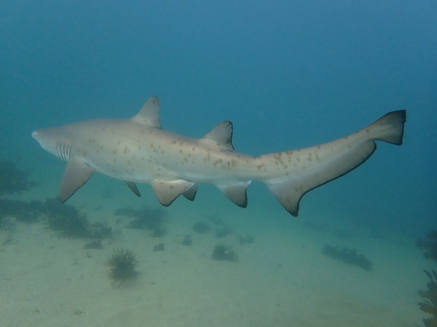 0f09175f-d01c-4b93-954d-6f53f5f5afb4