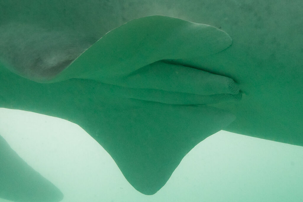 f06e84eb-0d69-4cb4-9f11-96506ac97426