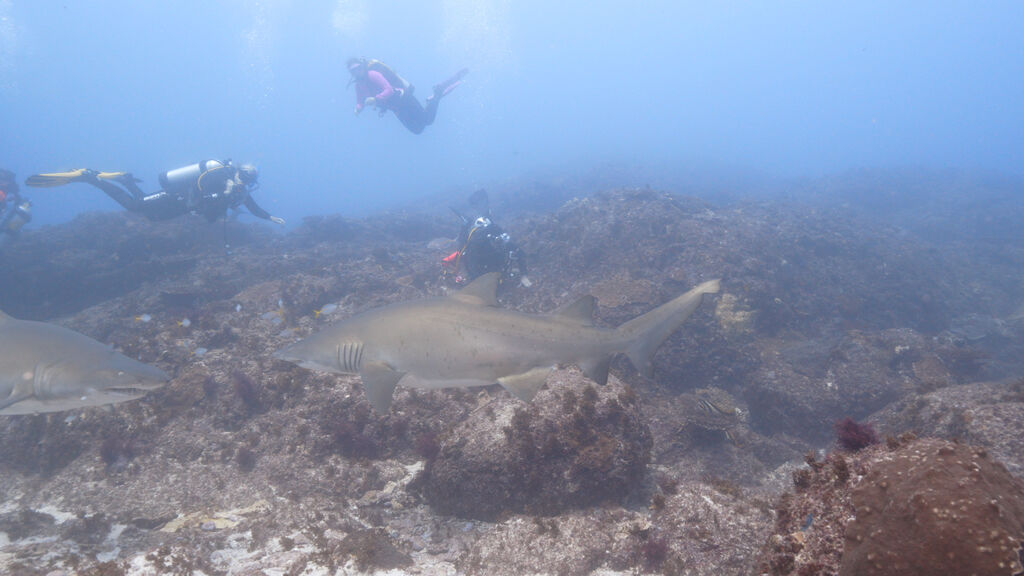 402eba90-2a40-4f7b-b2a4-e53c1b3d538c