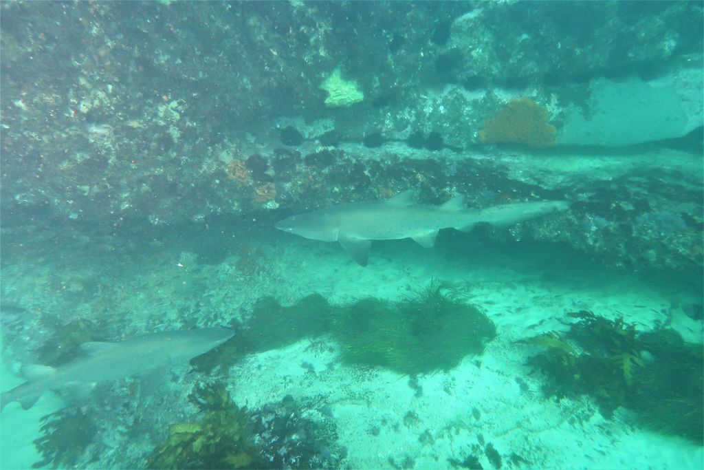 eb1f9e82-5e0f-4af4-b067-611386fa9027