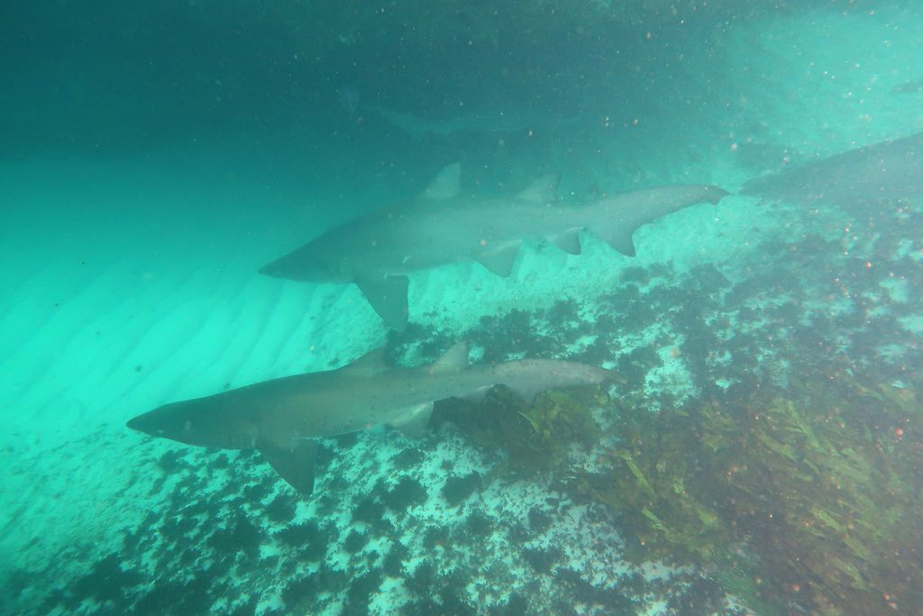 eb1f9e82-5e0f-4af4-b067-611386fa9027