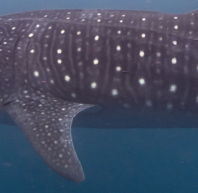 f5251cca-878e-4f02-9623-0484d6866968