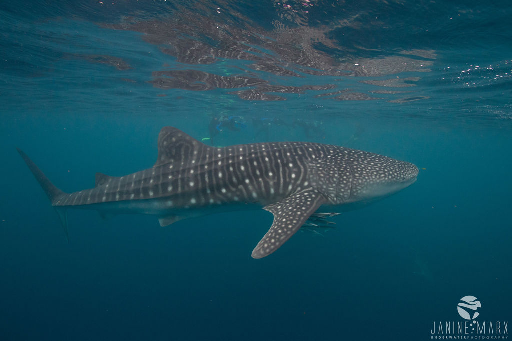 161b3c50-6b75-4be1-9f9d-fe734a7631f9