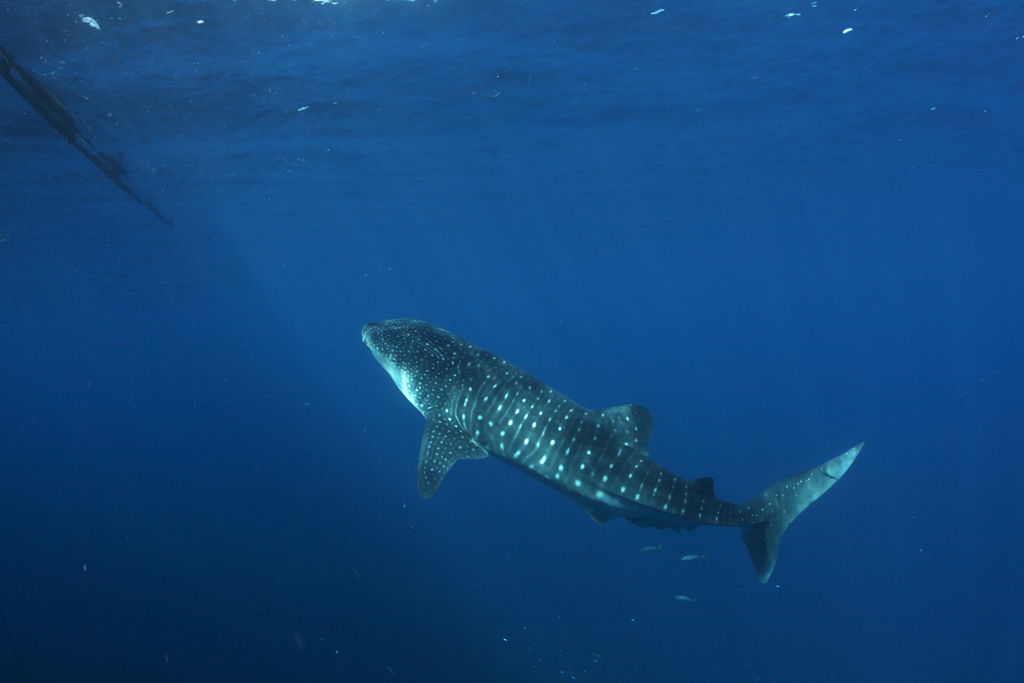 407ea8e4-df7e-41ae-b99b-d1140d7525f8