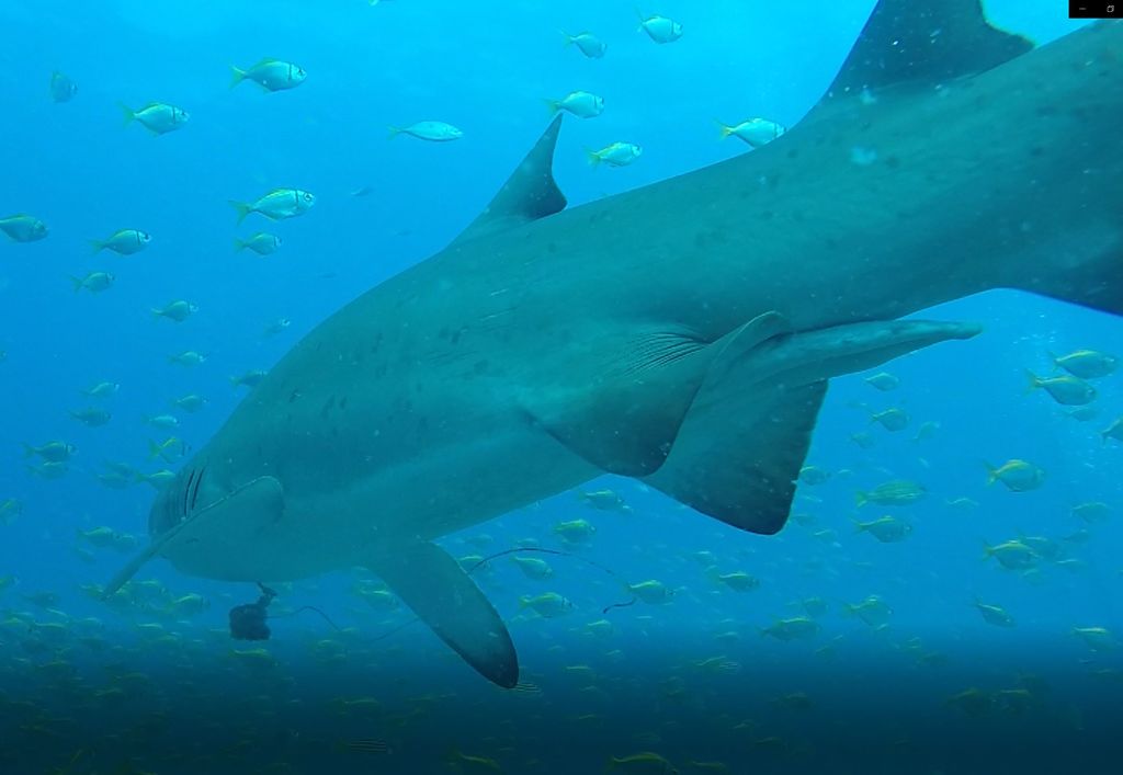 4820c97a-95cc-4457-9baa-42fef0697467