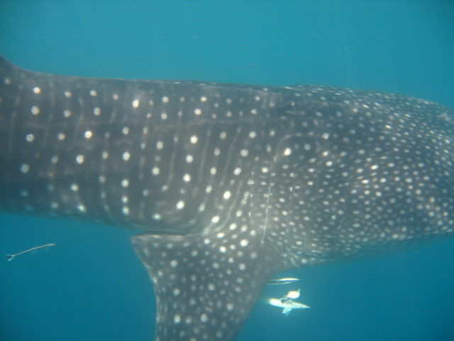 554056e6-d25a-4d19-9a14-64a3b1429482