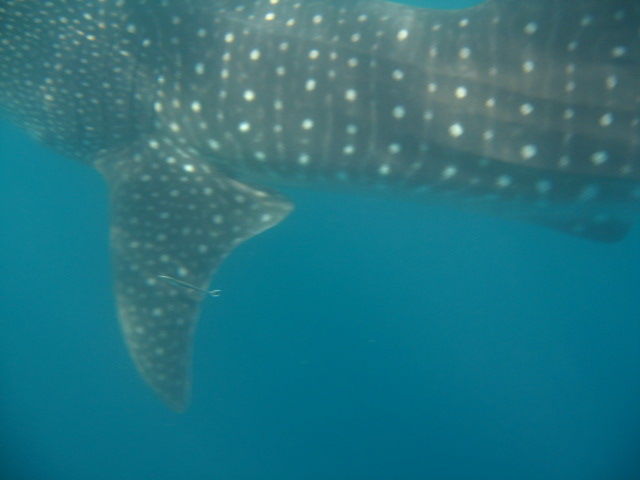 554056e6-d25a-4d19-9a14-64a3b1429482