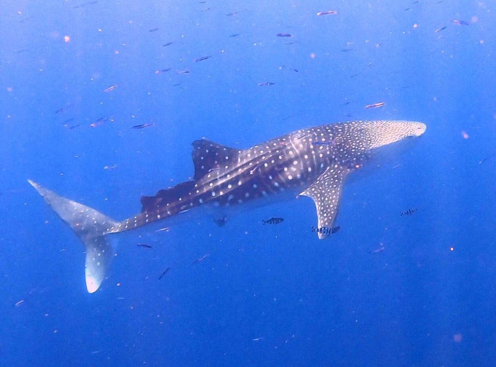 770f9d0a-0107-4455-b32d-a8d2e797d3f5