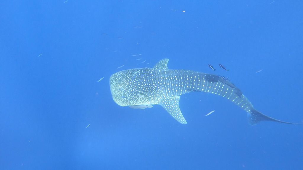 770f9d0a-0107-4455-b32d-a8d2e797d3f5