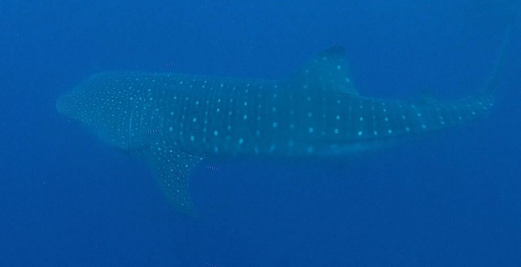 feb553e0-4c9a-4ea9-97d7-32f77a733317