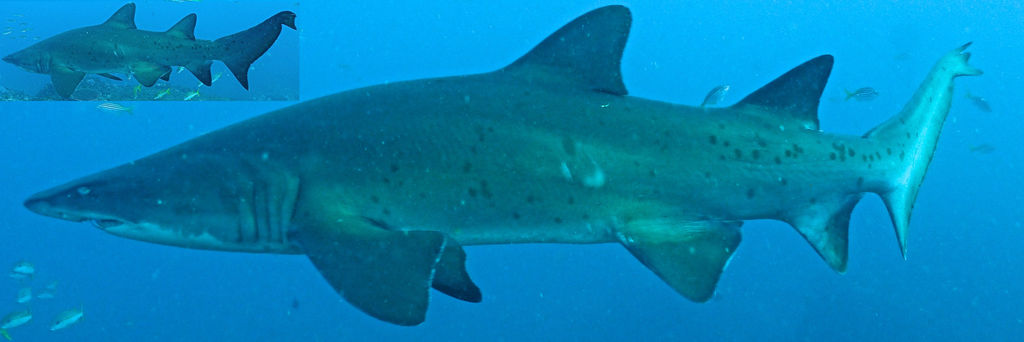 369e9c7e-d36d-4478-ba0f-6fb511b21aaa