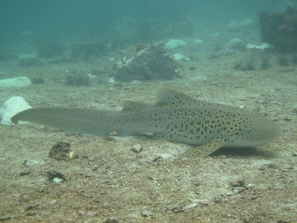 06c32bc2-8b08-4864-a877-f73dfaef4b66