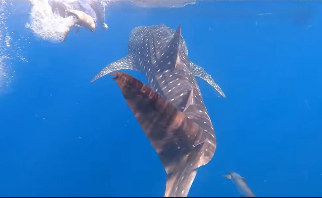 f8f3fb9d-be02-4e7b-9573-eaf28acb3e3f