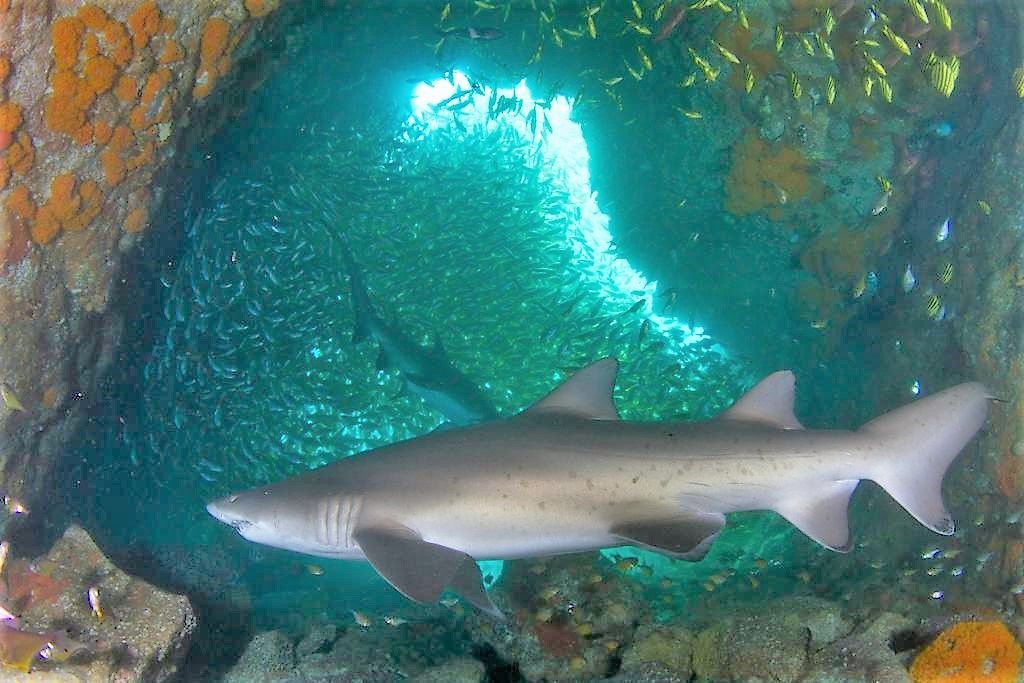 fe51b60d-f79f-4eba-9a7b-90718cea0980