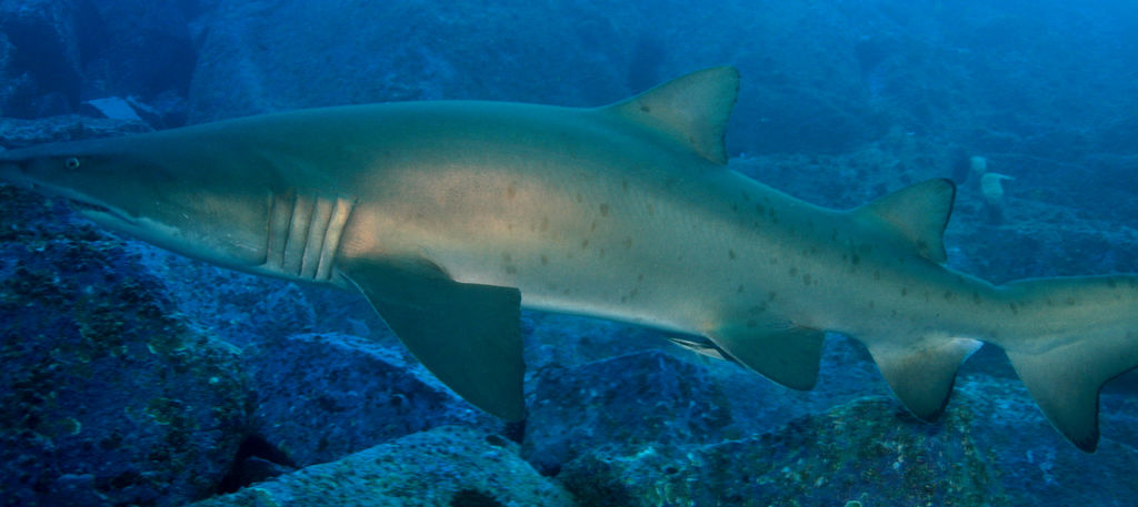 3080a780-6e2f-4072-88e7-64e8890f7630