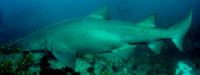 d5f791d4-0da4-477b-981f-c004ec4d3ef9