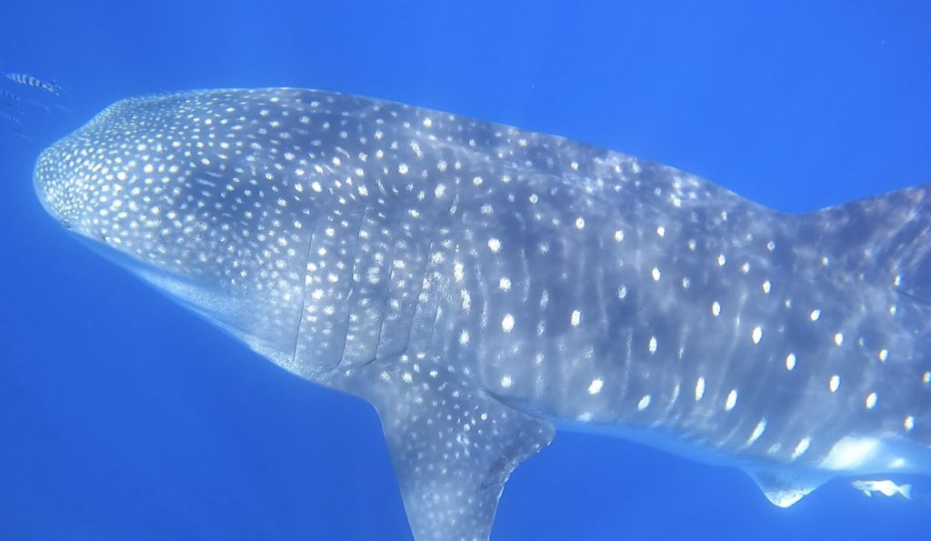 57199be9-5dfa-46f4-885c-68f45fd9bd06