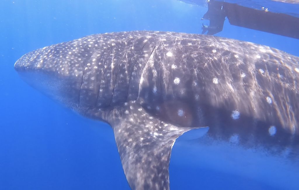 57199be9-5dfa-46f4-885c-68f45fd9bd06