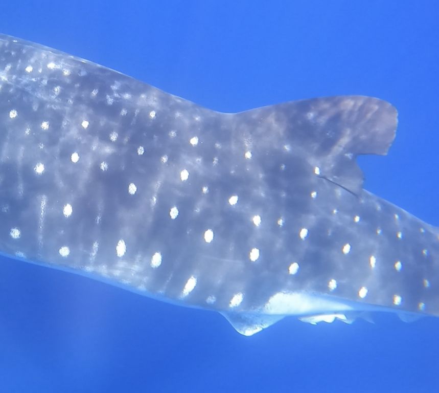 57199be9-5dfa-46f4-885c-68f45fd9bd06