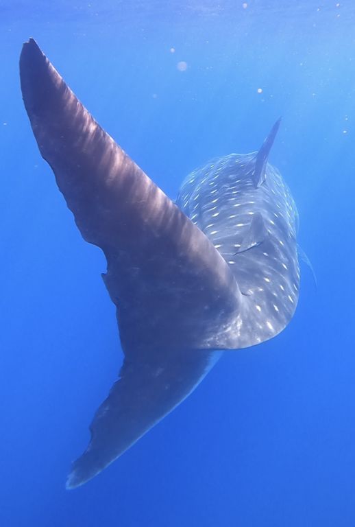 57199be9-5dfa-46f4-885c-68f45fd9bd06