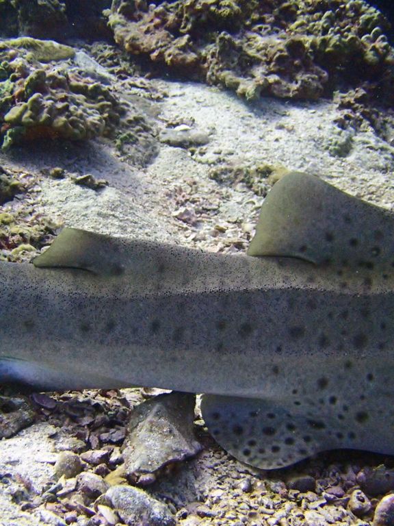 4c031ae7-0fb2-4e8b-87ab-553b5151b02c