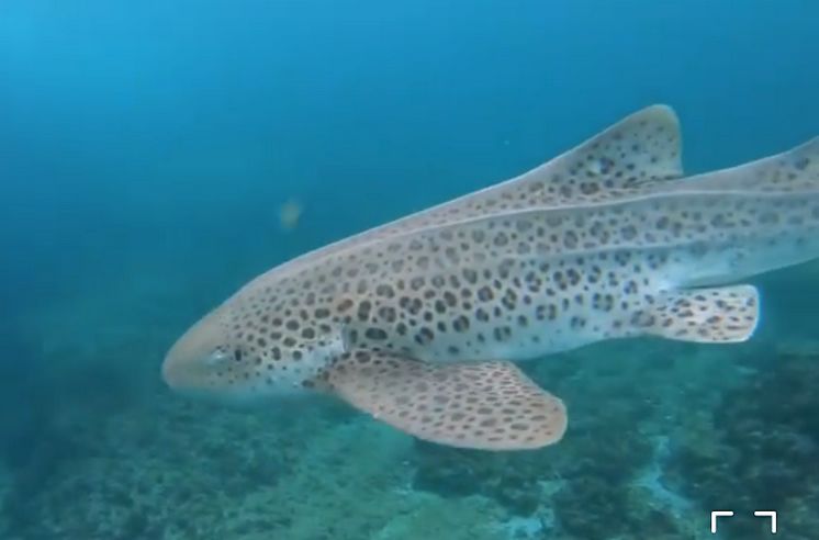 8ad60839-0734-4851-b655-7cf95c16dc69