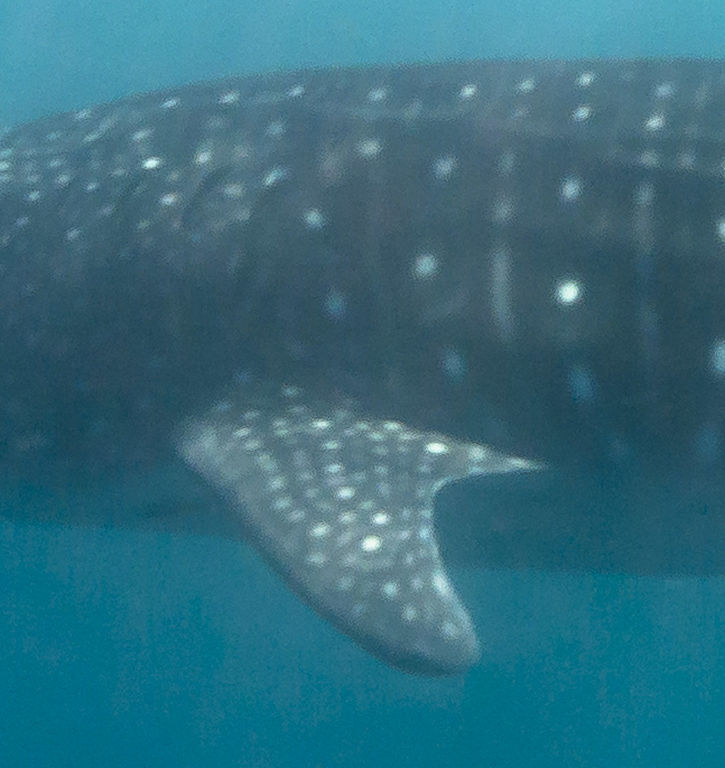 75c310d0-af9b-4a75-a5b9-417ec8b38675