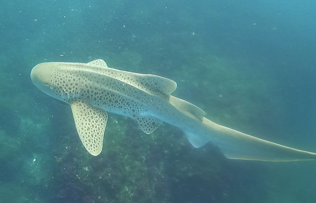 5f37f3d3-56c4-4c50-b173-ef9971ec4262