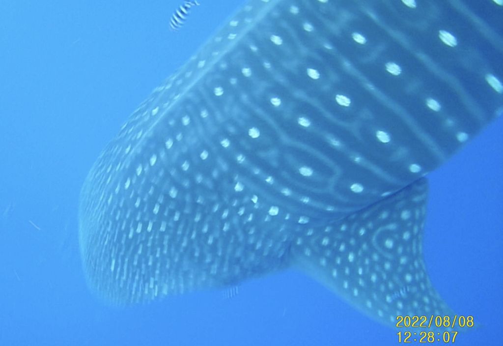 f46d3d36-5904-4f3c-9dae-119c46a90657