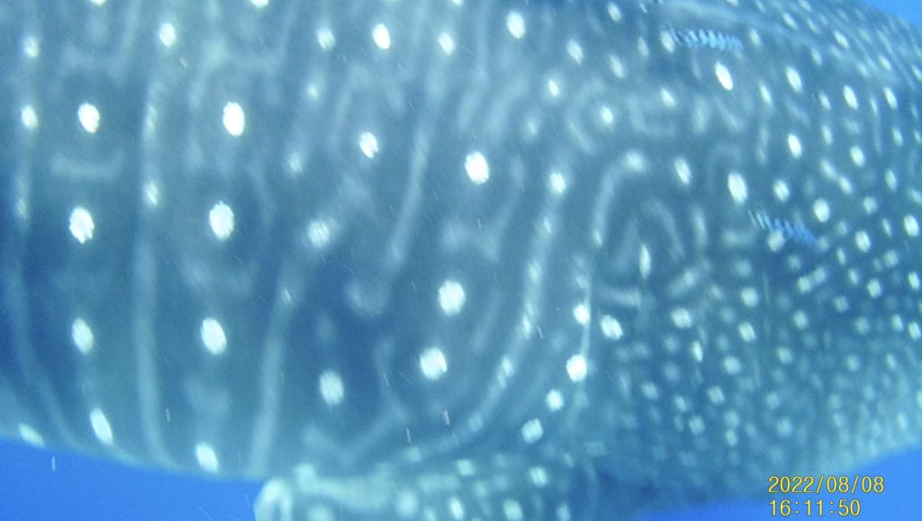 f46d3d36-5904-4f3c-9dae-119c46a90657