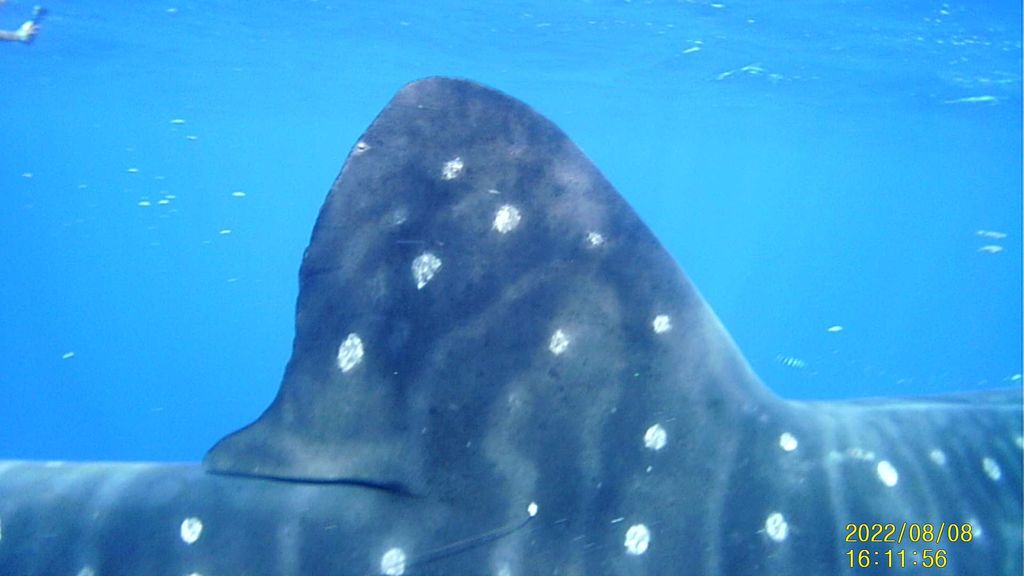 f46d3d36-5904-4f3c-9dae-119c46a90657