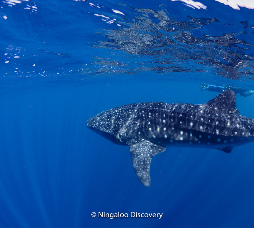 308e1638-3355-4e5a-99f1-59f1aa46680a