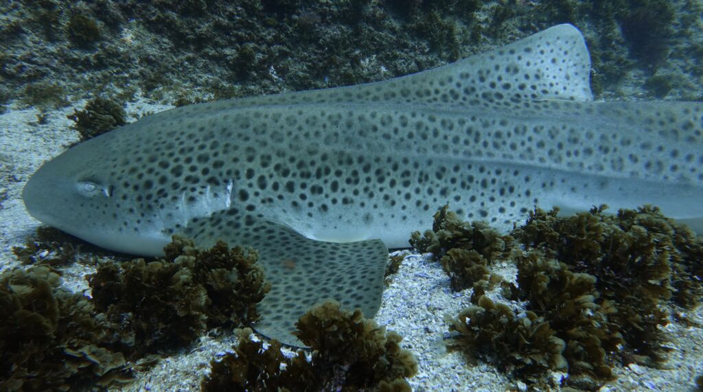 aa2a3641-fc65-4fab-b46c-e7f6d8e28eb8